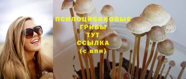марки nbome Аркадак