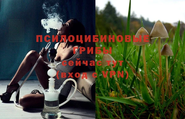 марки nbome Аркадак