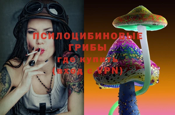 марки nbome Богданович