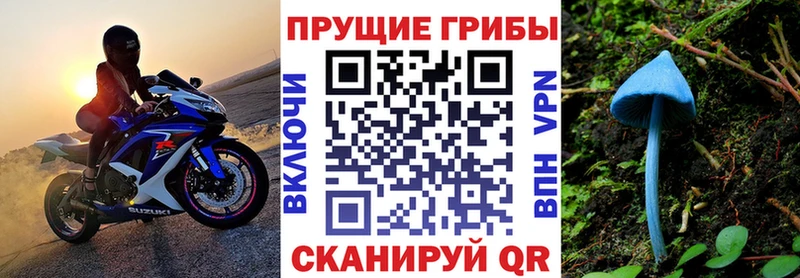 Галлюциногенные грибы прущие грибы  купить наркотики цена  Динская 